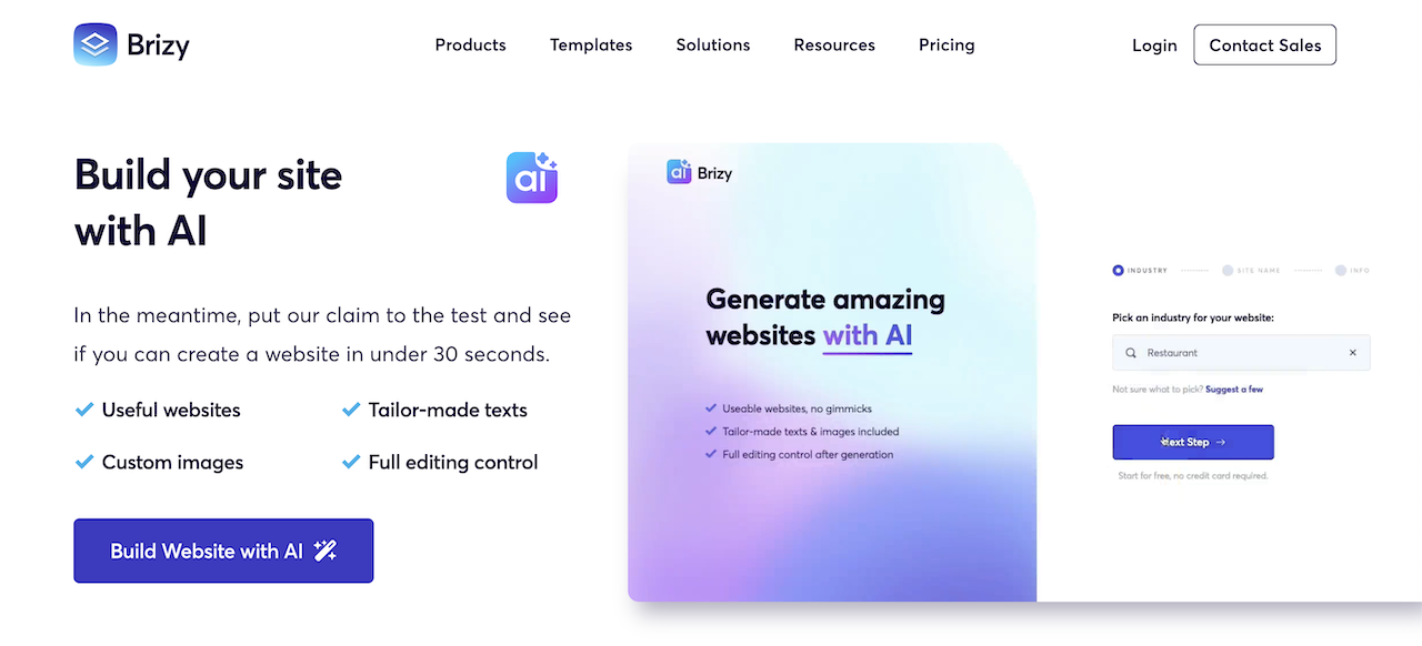 the brizy ai website builder