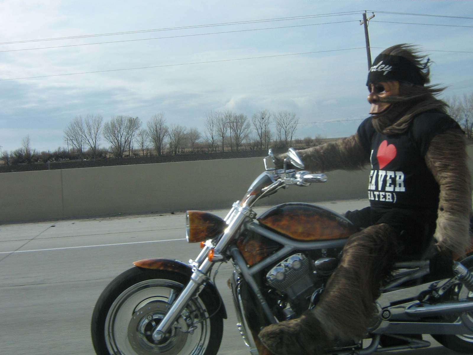 Definately, Chewbacca riding a motorcycle.