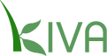 Kiva.org